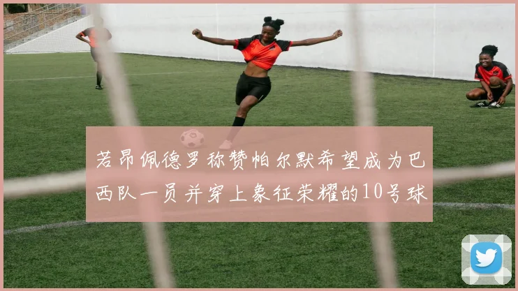 若昂佩德罗称赞帕尔默希望成为巴西队一员并穿上象征荣耀的10号球衣